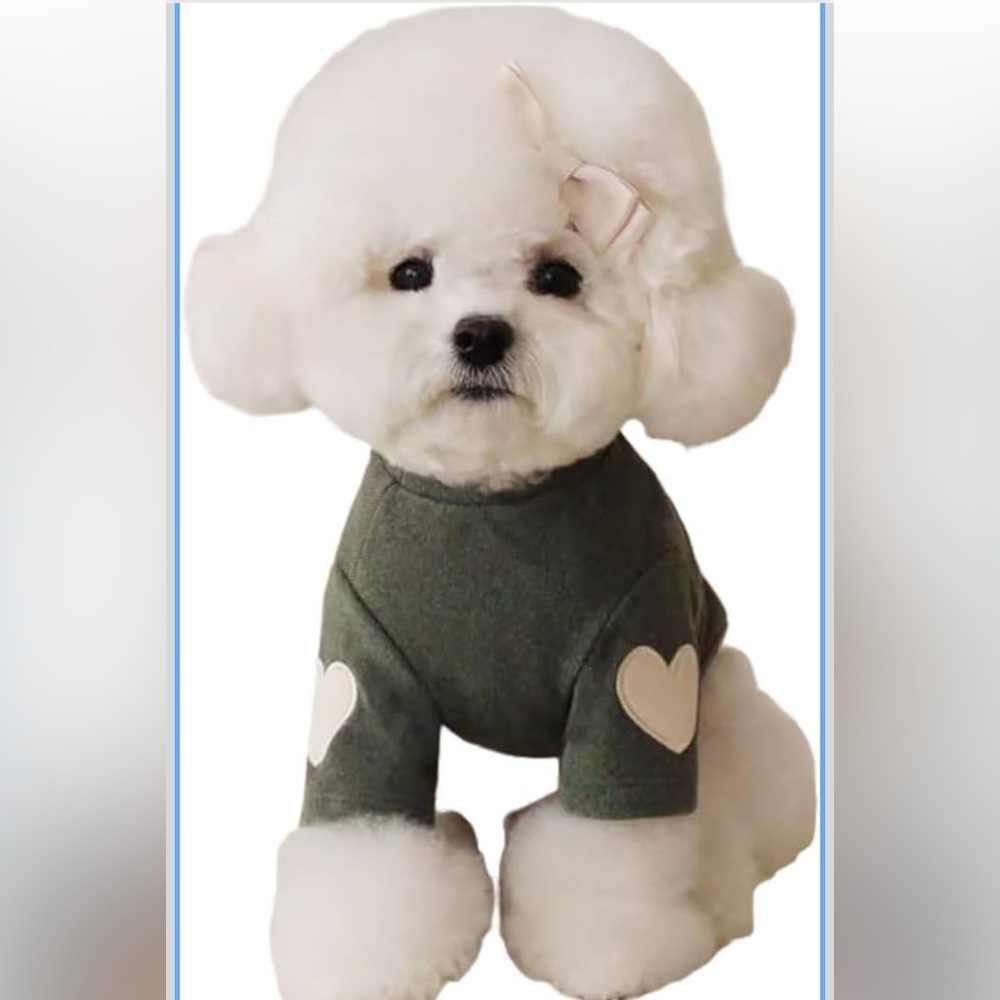 Amazon Small/XS Dog or Cat Green Sweater with Heart Elbow Pads NWT